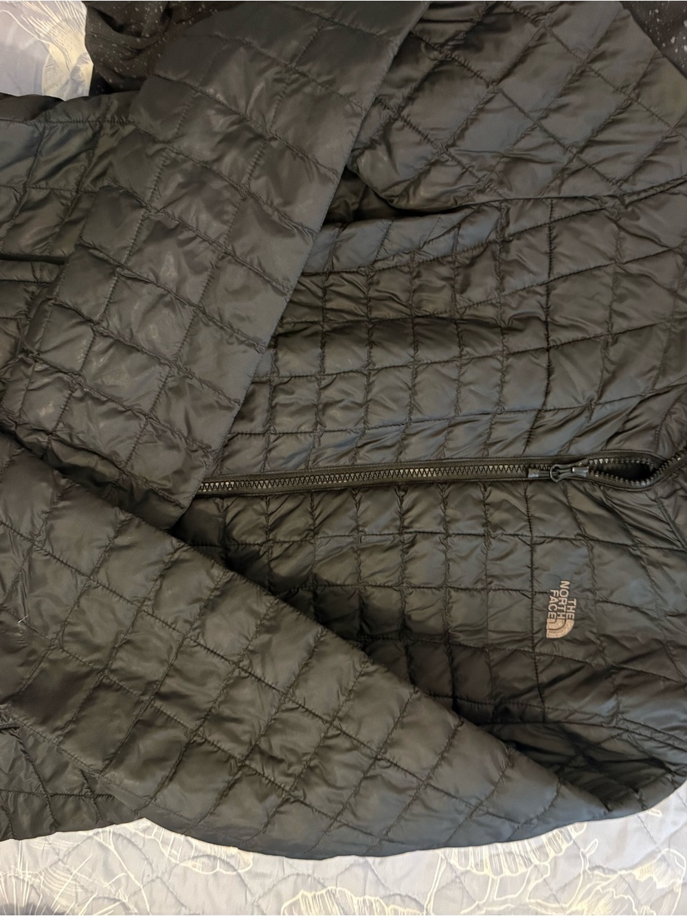 The North Face Quilted Black Jacket
